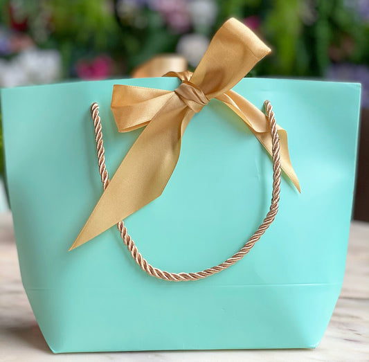 Gift Bag - Mint Green